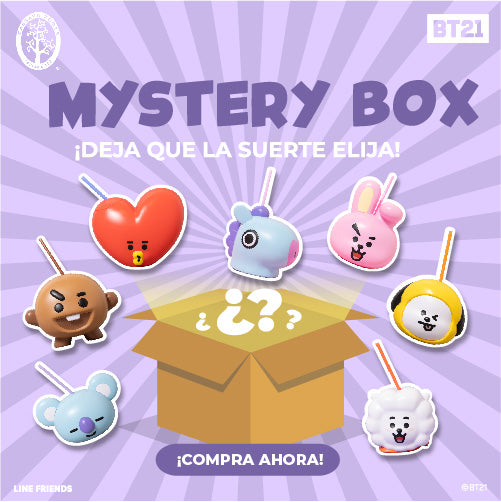 Mystery Box #BT21